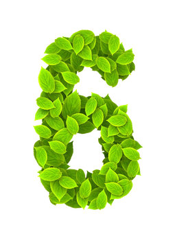 Green leaves font
