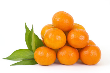 Poster - fresh tangerines