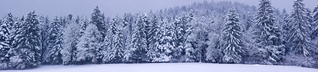 Winter panorama XXL