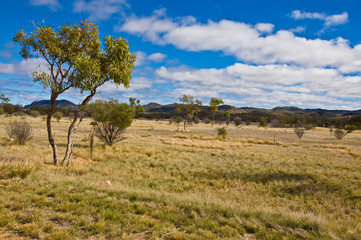 australian landscape