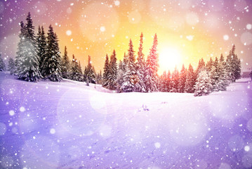 majestic sunset in the winter mountains landscape