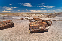 Petrified Forest National Monument