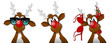 Rudolph collection 5