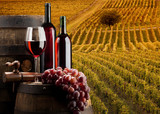 Fototapeta  - red wine with vineyard