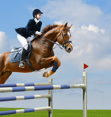 Canvas Print - Equestrian jumper