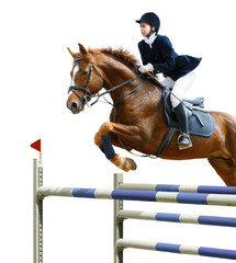 Wall Mural - Equestrian jumper