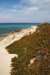 Poster - Crystal Waters of Corsica Coast, France