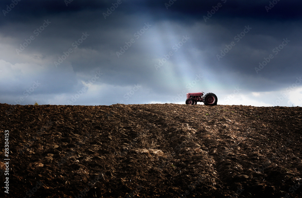 traktor rolniczy na polu uprawnym - obrazy, fototapety, plakaty 