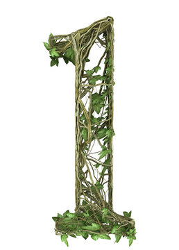 Ivy plant font nature