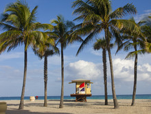 Lifeguard Hut Between Palms Trees, Florida