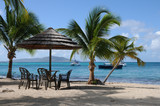 Fototapeta Fototapety z morzem do Twojej sypialni - sandy beach with palms in the Grenadines