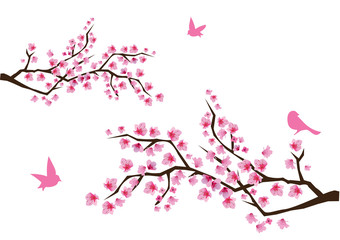 Canvas Print - cherry blossom with birds