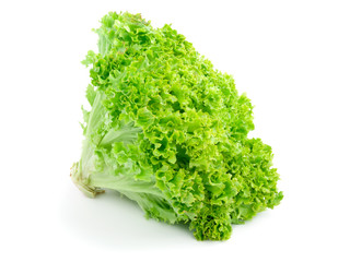 Fresh lettuce isolated on white background