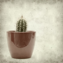 Textured Old Paper Background With Small Cactus Ina Red Pot
