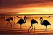 Silhouettes of pink flamingo on a water background