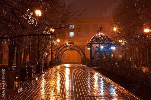 Obraz w ramie Night decorated alley in the city park