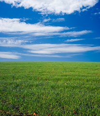 green field under a sky and clouds