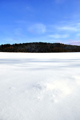 Wall Mural - Winter landscape