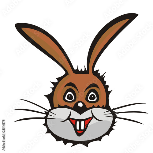 hase gesicht – kaufen Sie diese Vektorgrafik und finden Sie ähnliche