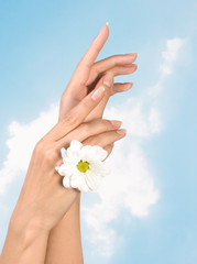 Wall Mural - female hands with flower