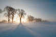 canvas print picture - wintertime landscape