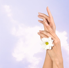 Wall Mural - female hands with flower