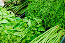 Variety Of Fresh Vegetables In Market
