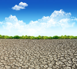 Dried and cracked soil in blue sky