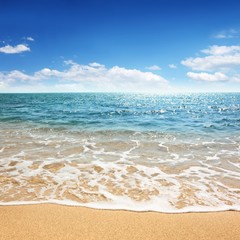 Wall Mural - beach and tropical sea