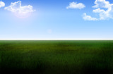 Fototapeta  - krajobraz łąka