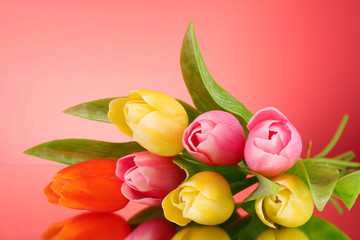 Poster - Tulips on red background