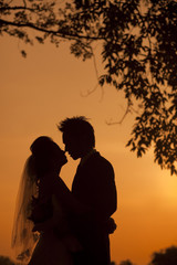 Wall Mural - silhouette of a young bride and groom