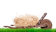 A Transport Wagon With Dried Straw On A Green Lawn Isolated Over
