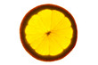 closeup arancia 1
