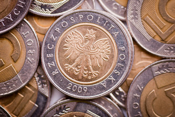 Wall Mural - Polish currency five zloty coin , background