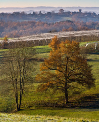 Sticker - Allassac (Corrèze) - Brume automnale