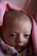 neonato bimba bambina alice ritratto occhi