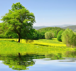 Spring landscape in the national park Sumava - Czech Republic