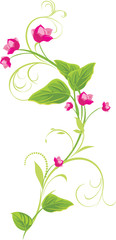 Wall Mural - Sprig with pink flowers. Vector