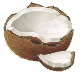 Open Coconut