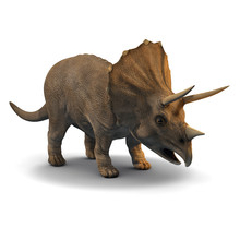 3d Triceratops Dinosaur