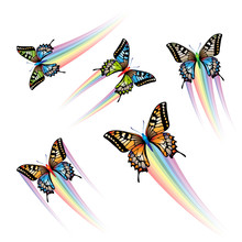 Butterfly Collection With Rainbow Jet