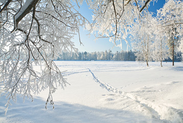 Aufkleber - winter landscape