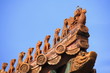 oriental roof design of Beijing Forbidden City Palace