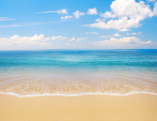 Wall Mural - beach and sea