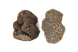 winter truffle