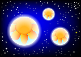 Wall Mural - Cosmos with orange flowers