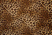 Leopard Background # 2 Free Stock Photo - Public Domain Pictures