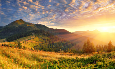Wall Mural - Summer landscape in the mountains. Sunrise