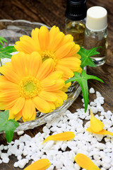 Sticker - gerbera and aroma oil